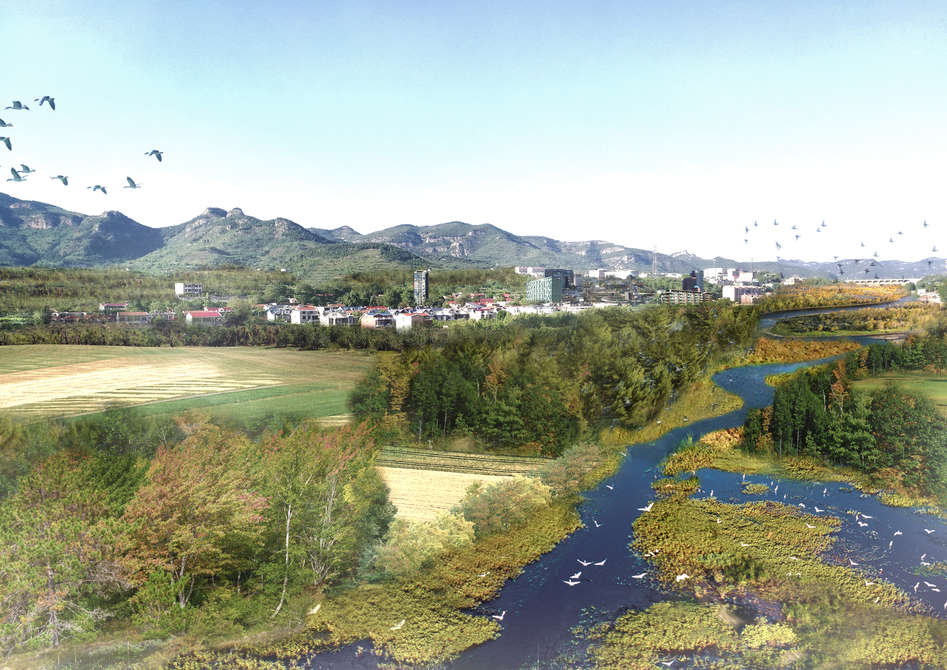 Eco Masterplan